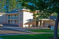 Shasta Pines Motel & Suites - Wifi