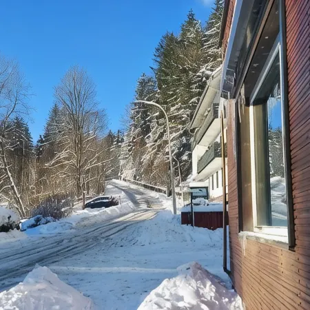 Familienapartments Wildemann