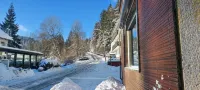 Familienapartments Wildemann - Wifi