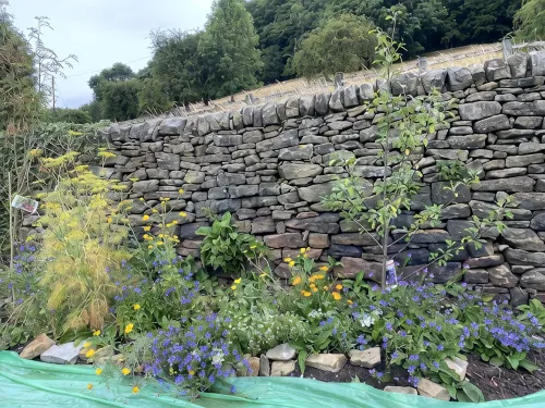 Cosy cottage, stunning views near Chatsworth - Hot Tub