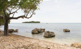 Paradise on the Rocks