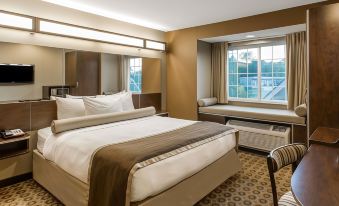 Microtel Inn & Suites by Wyndham Pearl River/Slidell