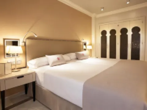 Vincci Albayzin Hotels in Granada