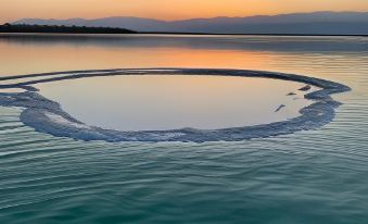 Aloni - Guest House Dead Sea - Housity