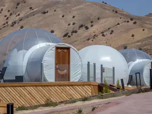 Popular Cultural Hotels in Petra
