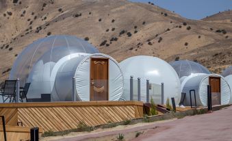 Petra Bubble Luxotel