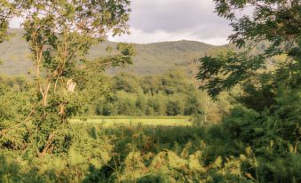 The Preserve Battenkill River