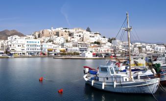 Adonis Hotel Naxos