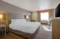 Best Western Plus Peppertree Airport Inn Hotels in Cheney
