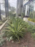 Wyndham Anaheim Hotels in Anaheim