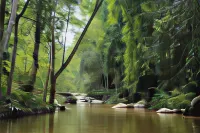 Rock Forest Chalet - รีสอร์ท