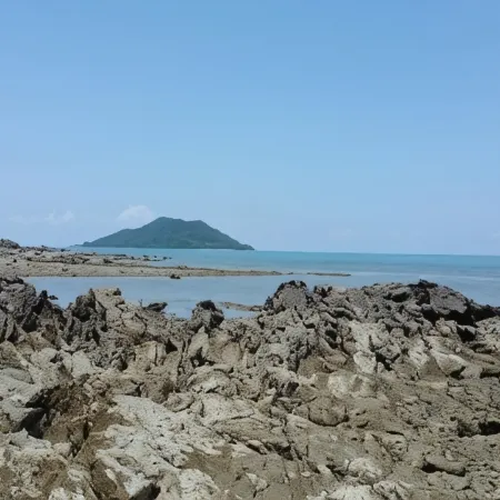 Baansukhita