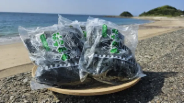 Kyukamura Shikanoshima