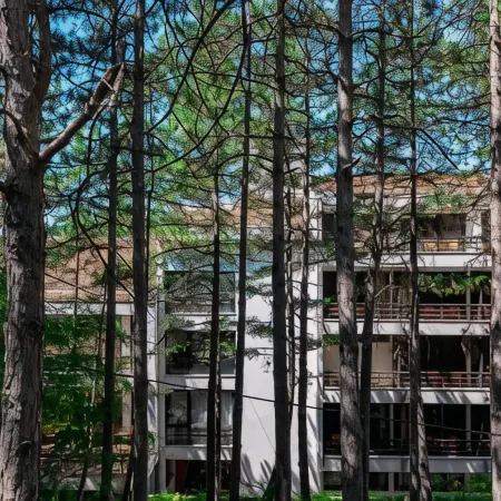 Hotel Pela