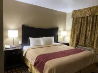 Executive Inn Chillicothe Hotels in Chillicothe