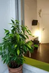 B&B Carella