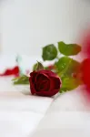 Bizerta Resort Congres & Spa Hotels in Bizerte
