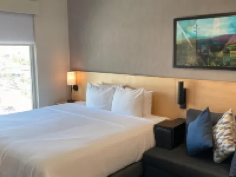 ไฮแอต พลาซ ซัลทิโย โรงแรมในซัลตีโย