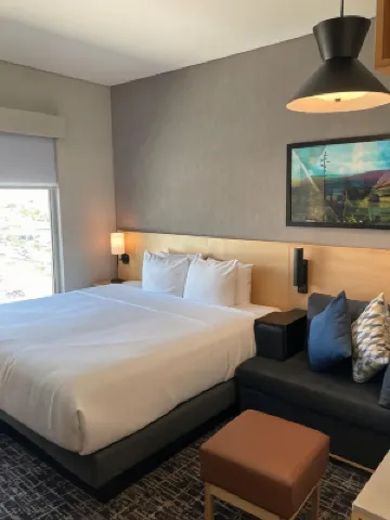 ハイアット プレイス サルティーリ のホテル