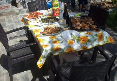 RELAXATION HOUSE. IN THE COUNTRYSIDE NEAR THE 5 TERRE AND 80 KM FROM THE GENOA AQUARIUM