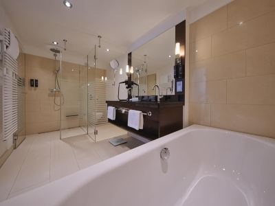 その他 シュタイゲンベルガー グラフ ツェッペリンの写真