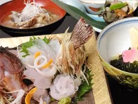 Hotel Hayamakan Hotels in Hayama