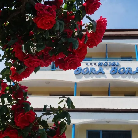 Bora Bora Hotel