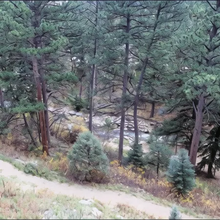 Fawn Valley Inn- 284 Condo