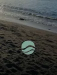 Vidamar - Beach