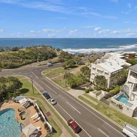Pandanus Coolum Beach
