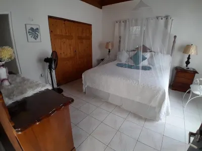*St Elizabeth Countryside Retreat* WIFI, Near Jamaica Zoo Hôtels à : 