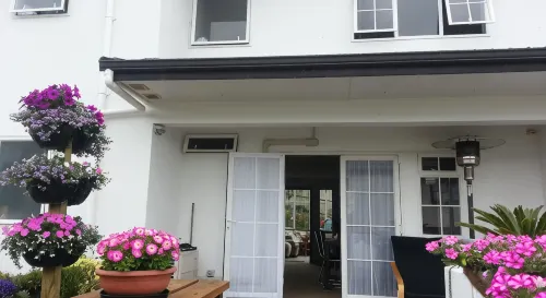 Lush & Co Auckland Bed & Breakfast