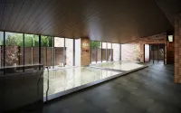 Hakone Kowakien Ten-yu - Hot Tub