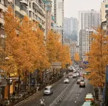 Elegance Huanpeng International Garden Hotel (Duyun Downtown Bus Terminal Branch)