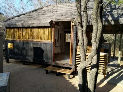 Off Beat Safaris Bush Lodge Hotels in 