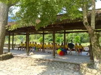 Nanxi Longevity Flower Farmer Stay Inn - Mountain view