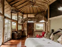 Elewana Tarangire Treetops Ξενοδοχεία στην πόλη Monduli