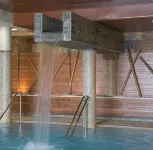 Hotel Hospes Palacio de Arenales & Spa Cáceres - piscina