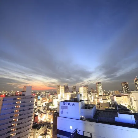 Sotetsu Fresa Inn Kawasaki-Higashiguchi Отели рядом с достопримечательностью «Соджиджи храм»