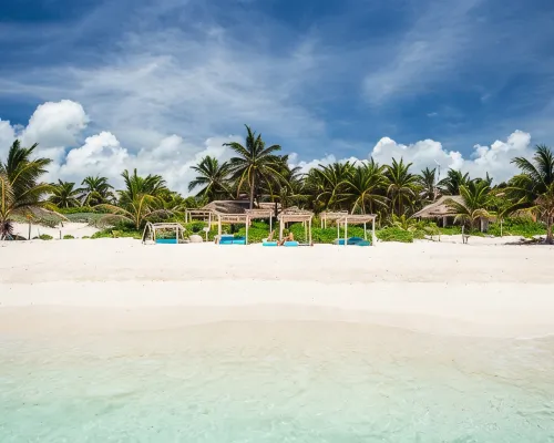 Orchid House Tulum Beach Hotels near Ziggys