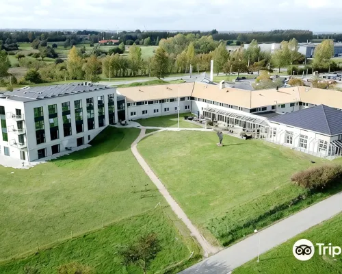 Best Western Plus Hotel Fredericia Hotels in Fredericia