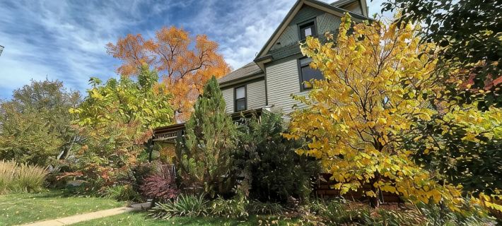 Vintage Haus - Cheerful, Elegant, Old World Modern Hotels in Longmont