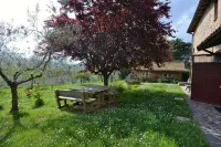 Villa in Città della Pieve. A peaceful oasis among woods and olive groves - 民宿