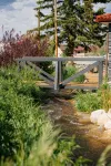 The Bird’s Nest - Creekside Cabin Retreat Near Salida & Monarch Mountain