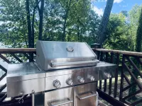 Lakefront Cottage with Private Dock on Norris Lake - 4 tähden