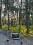 Secluded Peaceful Chalet 1 Bdrm King Suite AC, Private Laundry Room - Wi-Fi