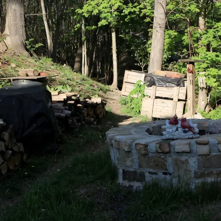 Scenic cabin near Hungry Mother, Mount Rogers, and Grayson Highlands Parks