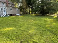 Entire 3 bedrooms/2 bathrooms fence yard, near Costco, Sam's
