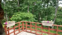 Cute family/ couples cabin with trailer parking and use of our dock in calm cove - 2-Star
