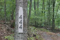 The Cabin on the Run
